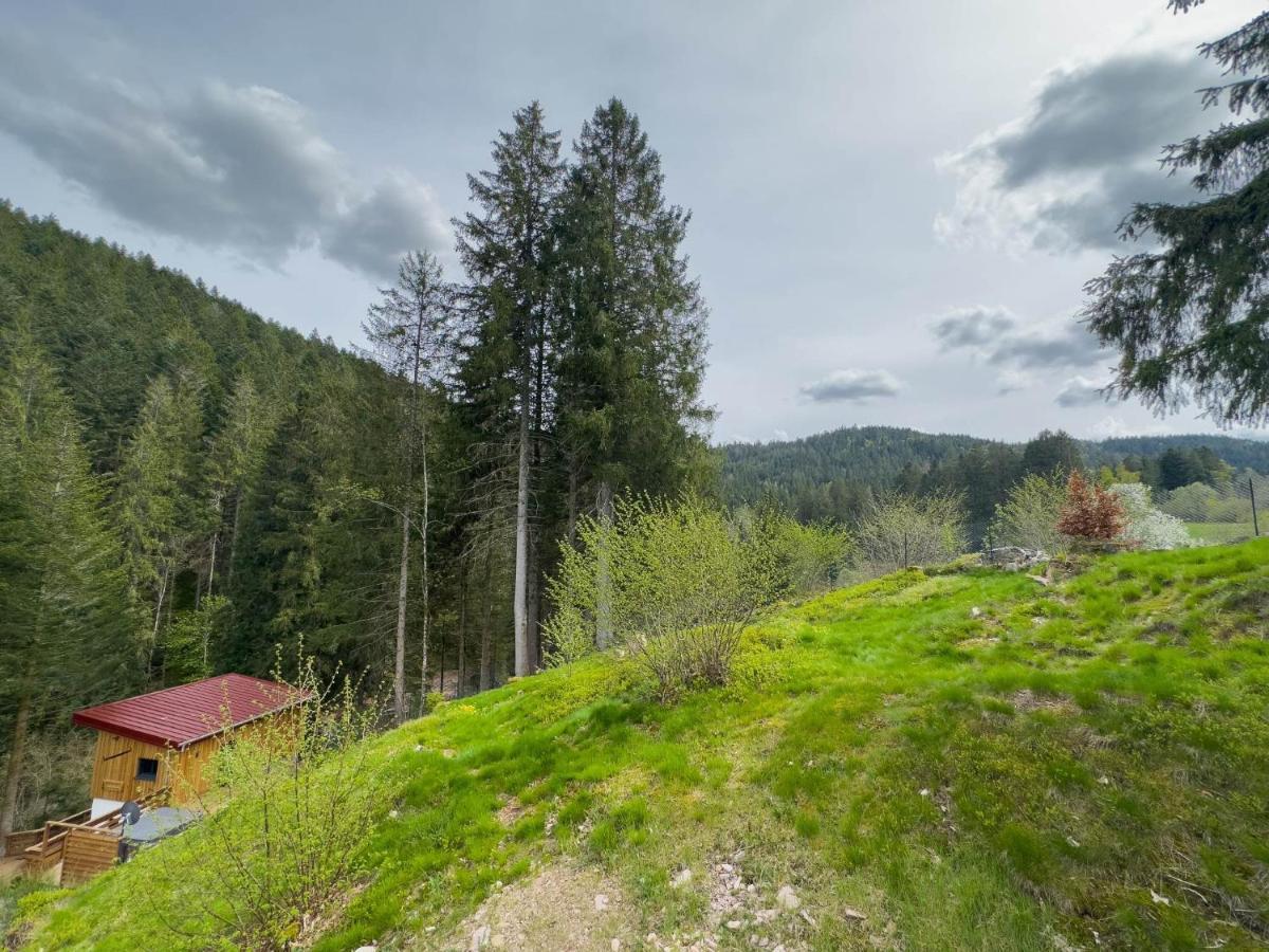 Le Refuge Perche Du Saut De La Bourrique Spa, Terrain Cloture Gérardmer Eksteriør bilde