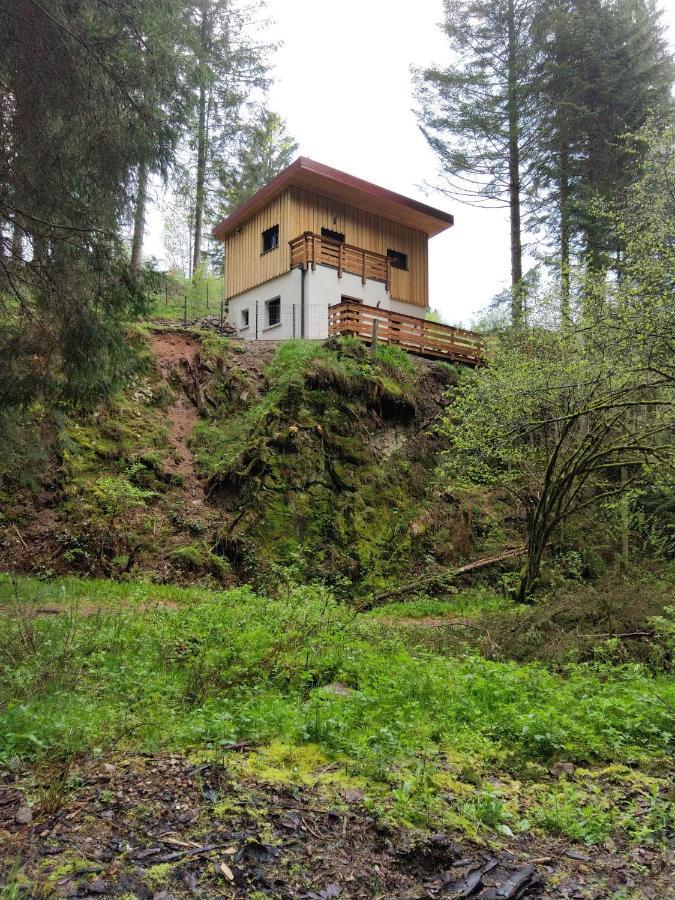 Le Refuge Perche Du Saut De La Bourrique Spa, Terrain Cloture Gérardmer Eksteriør bilde