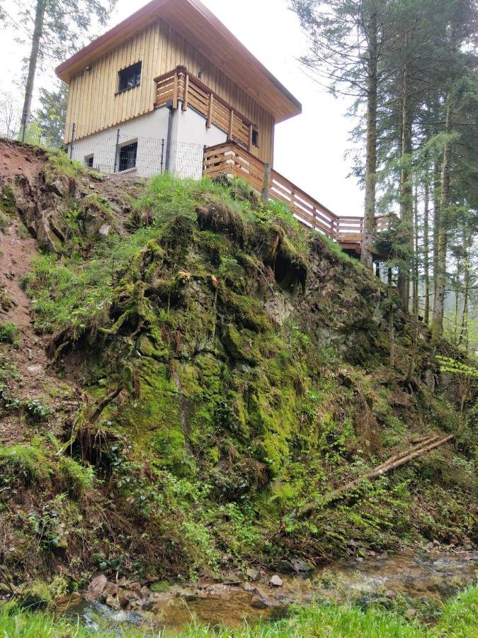 Le Refuge Perche Du Saut De La Bourrique Spa, Terrain Cloture Gérardmer Eksteriør bilde