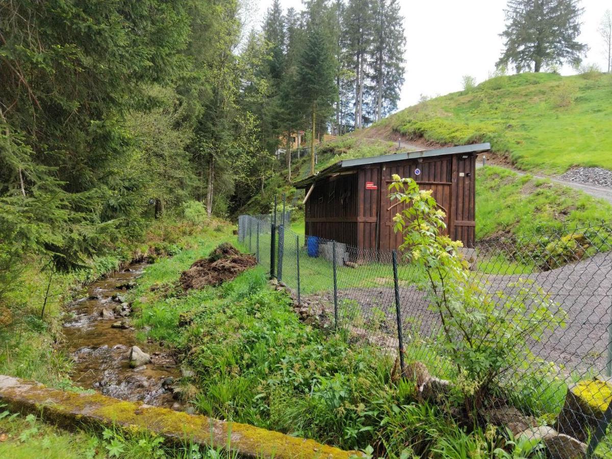 Le Refuge Perche Du Saut De La Bourrique Spa, Terrain Cloture Gérardmer Eksteriør bilde