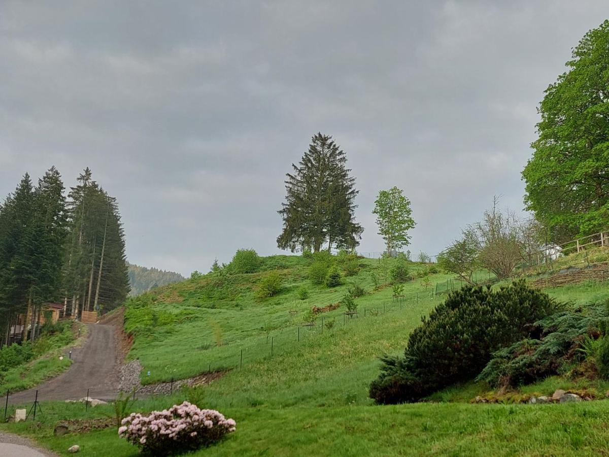 Le Refuge Perche Du Saut De La Bourrique Spa, Terrain Cloture Gérardmer Eksteriør bilde