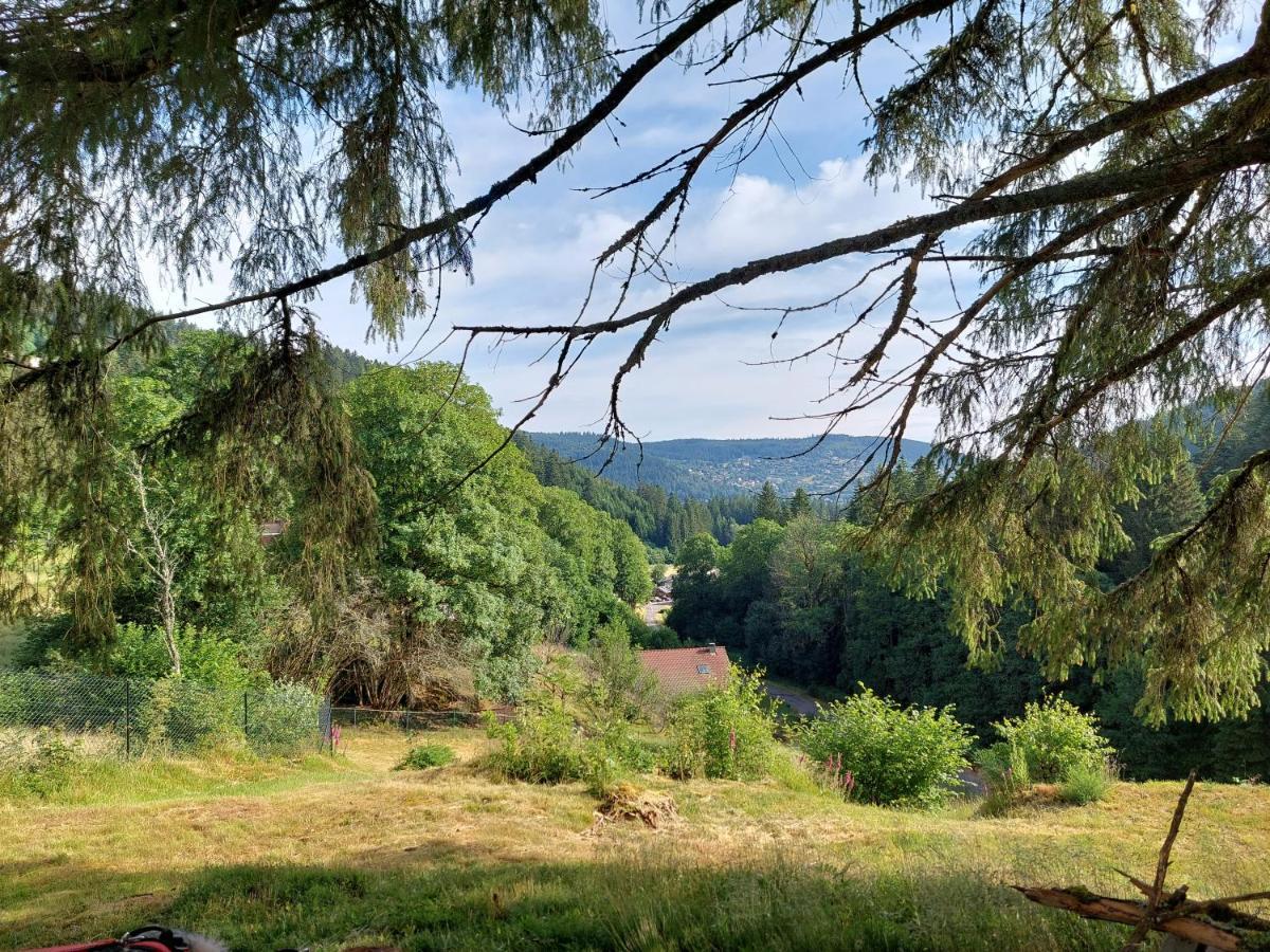 Le Refuge Perche Du Saut De La Bourrique Spa, Terrain Cloture Gérardmer Eksteriør bilde