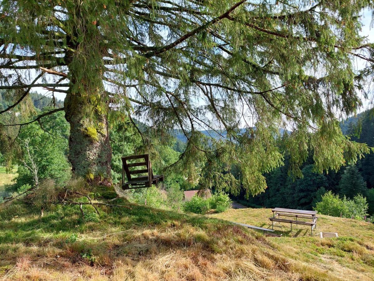 Le Refuge Perche Du Saut De La Bourrique Spa, Terrain Cloture Gérardmer Eksteriør bilde