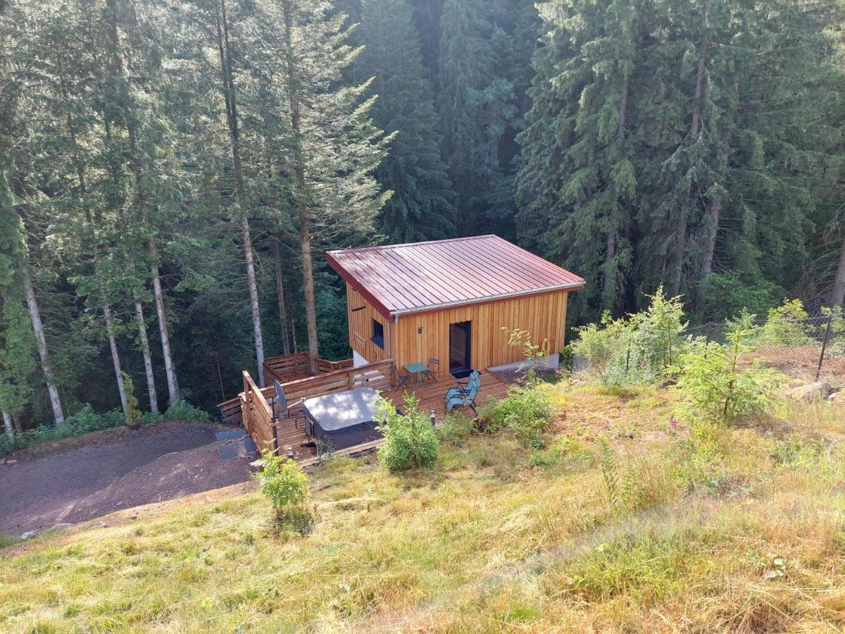 Le Refuge Perche Du Saut De La Bourrique Spa, Terrain Cloture Gérardmer Eksteriør bilde