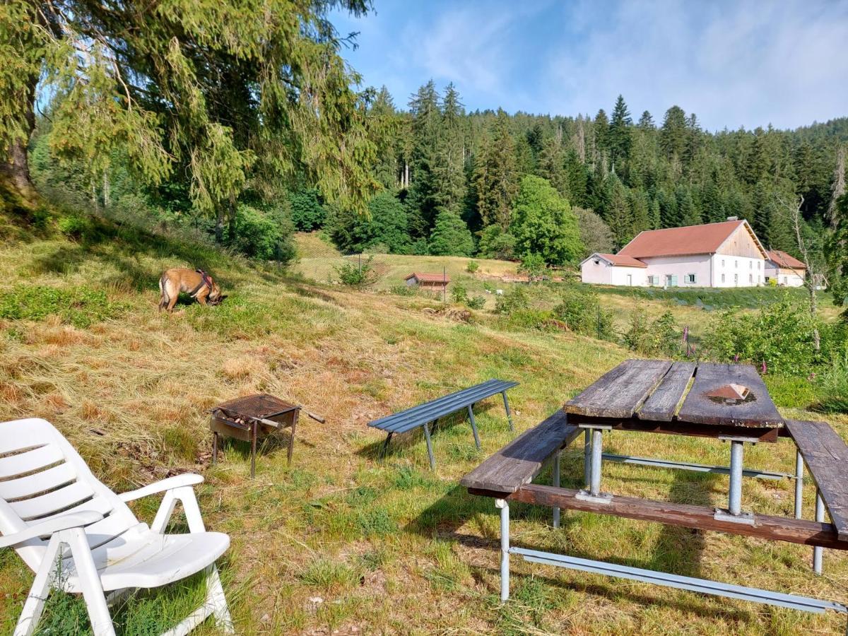 Le Refuge Perche Du Saut De La Bourrique Spa, Terrain Cloture Gérardmer Eksteriør bilde